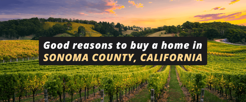 Reasons to buy a home in Sonoma County